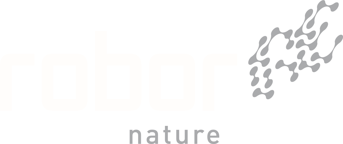 Robor Electronics Logo